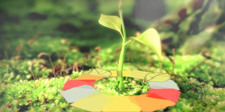 ������ľƷ������Ƭ